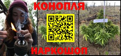 бошки Гусев