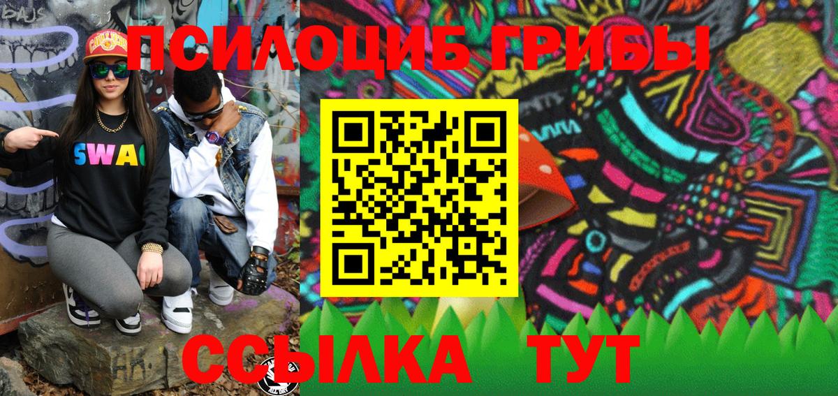 Галлюциногенные грибы Psilocybe  Вход с VPN  Маркс  Псилоцибиновые грибы MAGIC MUSHROOMS 