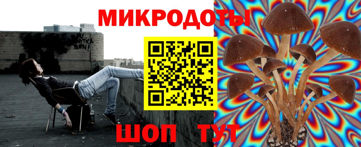 Галлюциногенные грибы Psilocybine cubensis Маркс